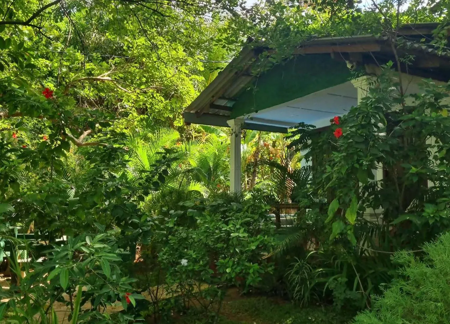 Hotel Sunrise Cottage Sigiriya Sri Lanka