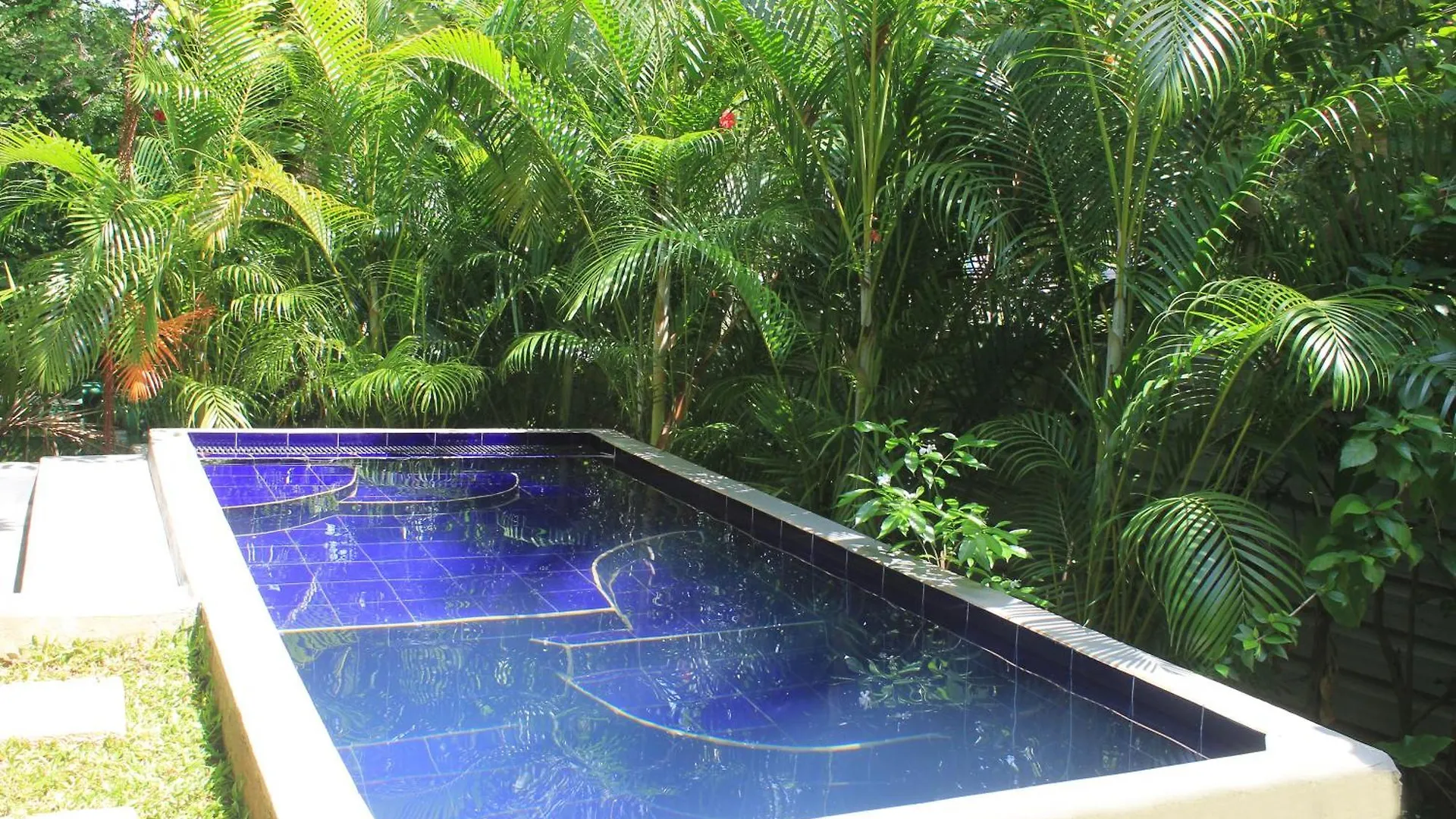 Sunrise Cottage Sigiriya